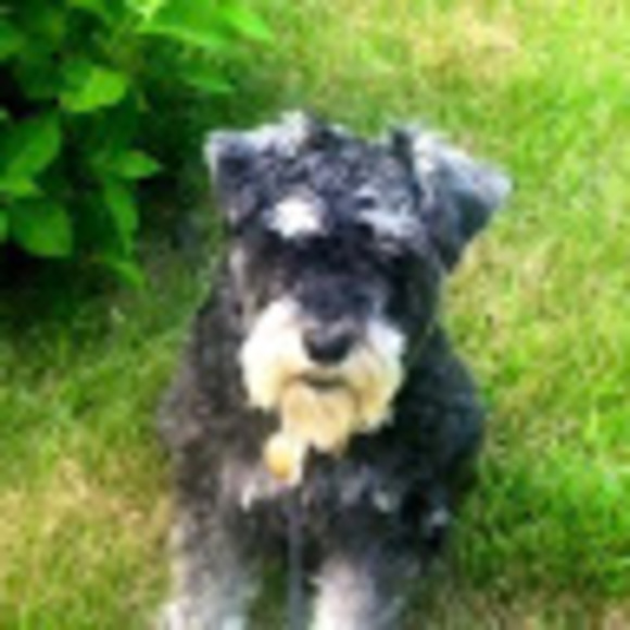 Meet your Posher, Sue - Picture 1 of 1